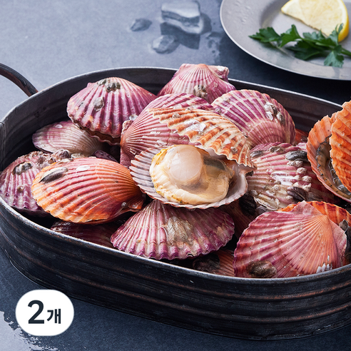 [로켓프레시] 어부심 고흥 통통하게 살이오른 제철 가리비 (냉장)