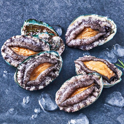 [로켓프레시] 아라보감 완도 산지직송 전복 (냉장)