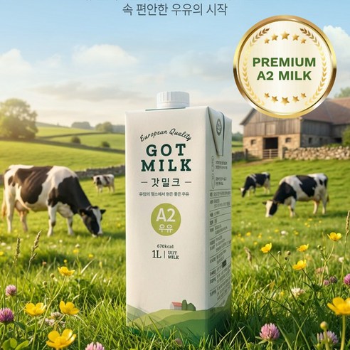 갓밀크 유럽 프리미엄 에이투 단백질 우유, 6개, 1L