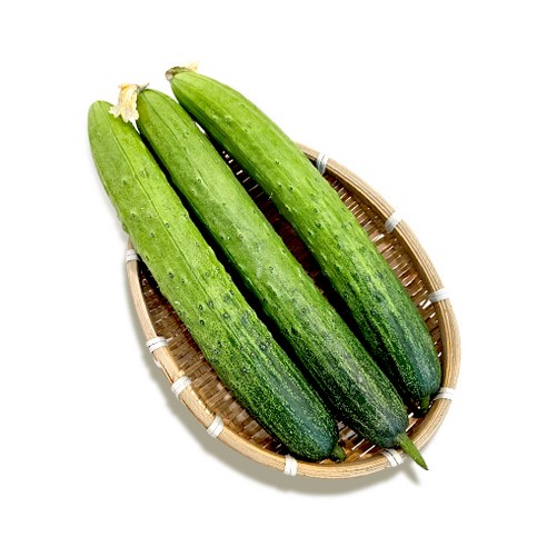 [예스팜오이] 양주 예스팜 산지직송 백다다기 오이 오이지오이 소박이오이 양주오이 오이 피클오이 2kg, 5kg, 1박스, 8kg