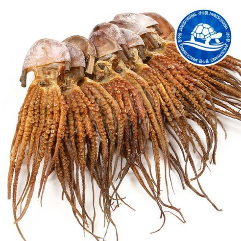 장수왕 피문어 (중대 40-45cm) 5마리 /말린 문어 제수용 약문어 건문어