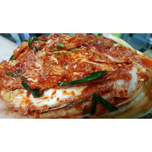 해남해주네김치 배추김치(전라도해남김치), 5kg, 1개