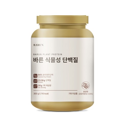 바른 식물성 단백질 프로틴 유당 콜레스테롤 제로, 300g, 1개