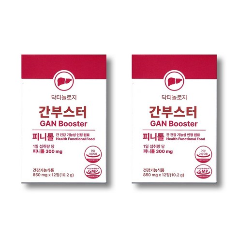 닥터놀로지 간부스터 피니톨 밀크씨슬 700mg X 12정 2박스 374786