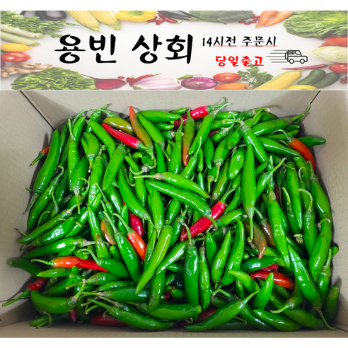 ( 용빈 상회 ) 국내산 청양고추 매운고추 땡초 못난이 상등급