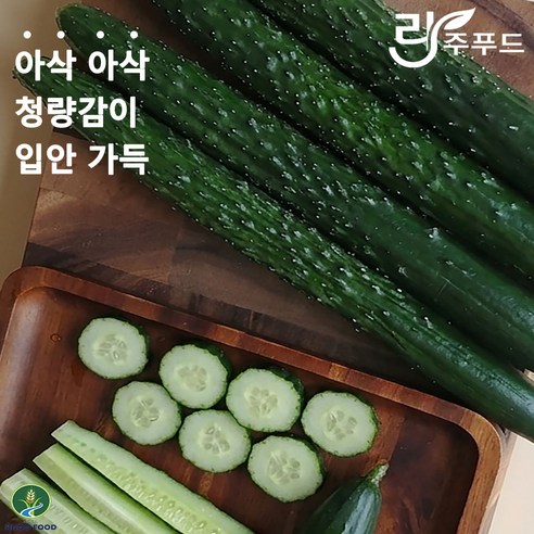 [국내산] 싱싱한 가시오이 청오이 남지 창녕 오이 (특품) 3kg 5kg 10kg 1박스