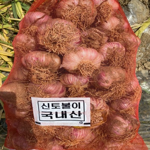 (정품) 노씨고집 고흥 햇 마늘, 1개, 2kg (중대 혼합과)