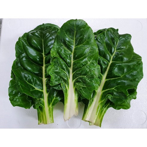 야채이야기 근대 250g, 1개, 250g