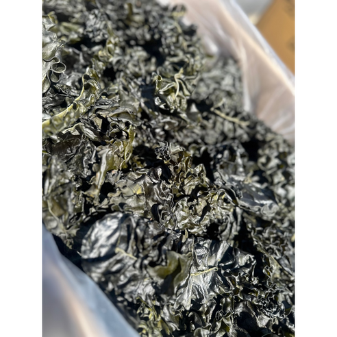 26년 완도 햇미역귀 1kg