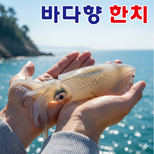 [특가한정] 생물 창꼴뚜기 급냉 한치, 1박스, 2kg