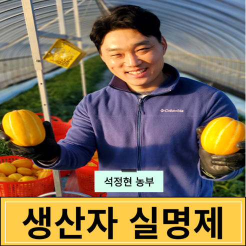 [생산자직송] 고당도 최상급 성주 참외 3kg 5kg 10kg