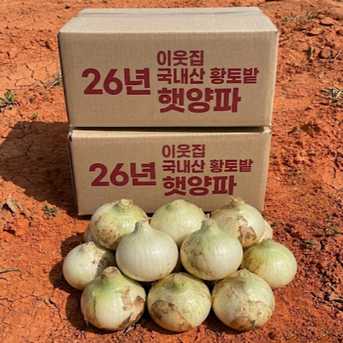 이웃집 국내산 황토밭 양파 햇양파