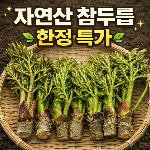 [더밭 한정특가] 자연산 참두릅 산지직송 제철 생두릅 당일수확, 1세트, 500g