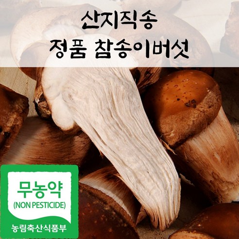 국내산 친환경 정품 참송이 버섯