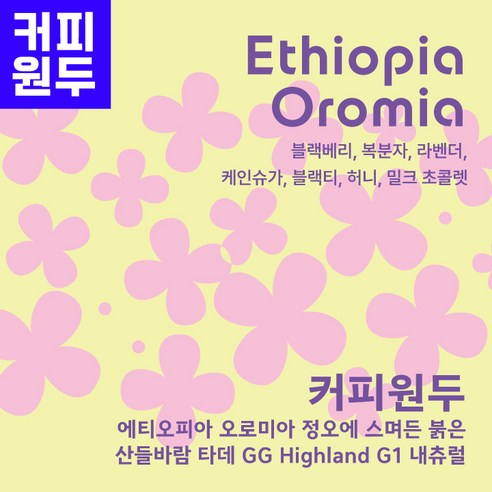200g 에티오피아 오로미아 정오에 스며든 붉은 산들바람 타데 GG Highland G1 내츄럴