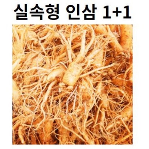 수삼 파삼 막삼 1+1 가정용 인삼 파삼 못생긴인삼 300G