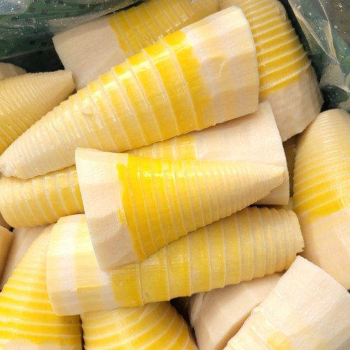 [국내산] 거제도 삶은 햇 죽순, 2개, 500g