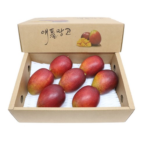 삼다몰 제주 애플망고 3kg