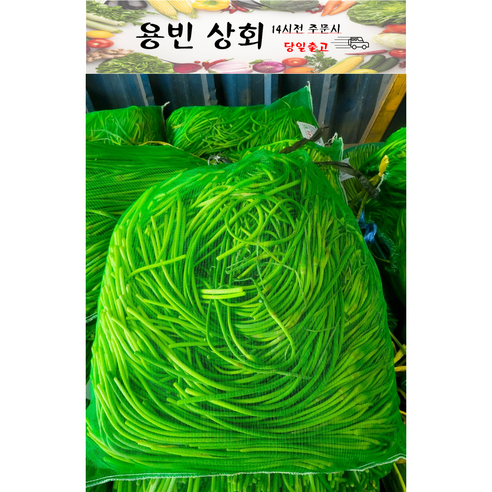 ( 용빈 상회 ) 국내산 햇 마늘쫑 1kg 2kg 3kg 5kg내외, 1박스, 3kg
