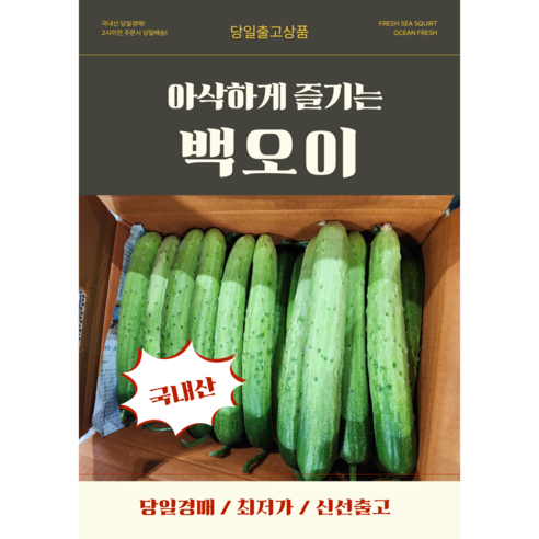 당일경매 국내산 백오이 신선한 오이 경매후바로발송 무침용 생식용 가정용, 상10kg, 1개