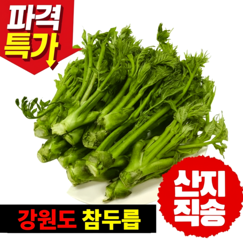[산지직송] 고야네채소가게 첫수확 최상급 자연산 참두릅 개두릅 국내산 엄나무순, 1kg, 1박스