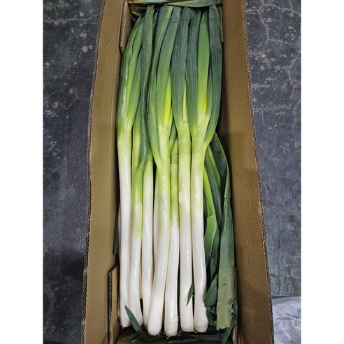 직수입 손질 대파 깐대파 손질대파 10kg 식자재 대용량 업소용 가정용