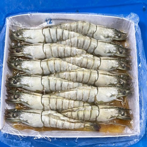 모조나인 블랙타이거 버터플라이새우 12미