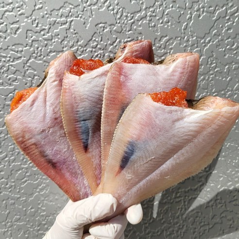 [산지직송] 동해안 반건조 참가자미 자연해풍 가자미, 1개, 반건조 참가자미 2kg 내외 (중/12-16미)