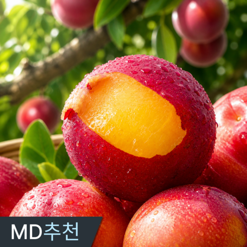 [타임특가] 삼시세끼연구소 과즙뚝뚝 김천 노지 대석 자두 산지직송 추희 후무사, 1세트, 대 500g