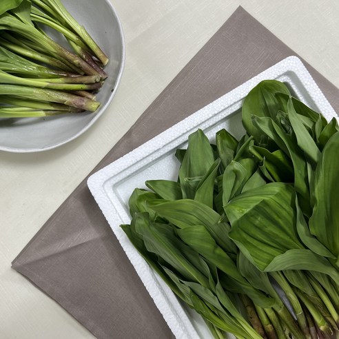 국내산 홍천 생 명이나물, 1개, 4kg