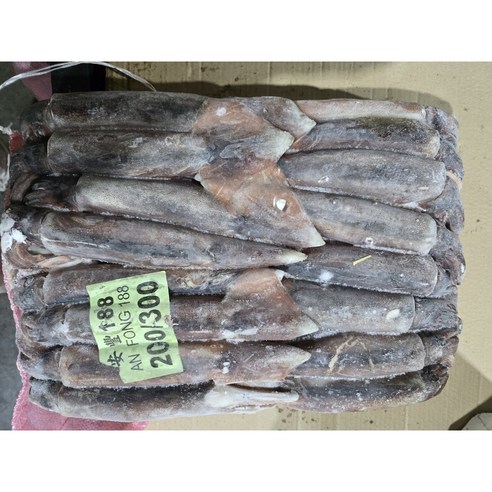 [포클랜드산&대만산] 선동 포크오징어 S / M2 / M 20kg(아이스박스 무료) 냉동오징어 포크오징어 12.3~20KG