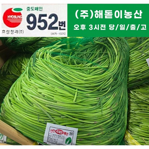 해돋이 농산 (26년)국내산 햇 마늘쫑(바라)  10kg내외(상세페이지꼭참조)