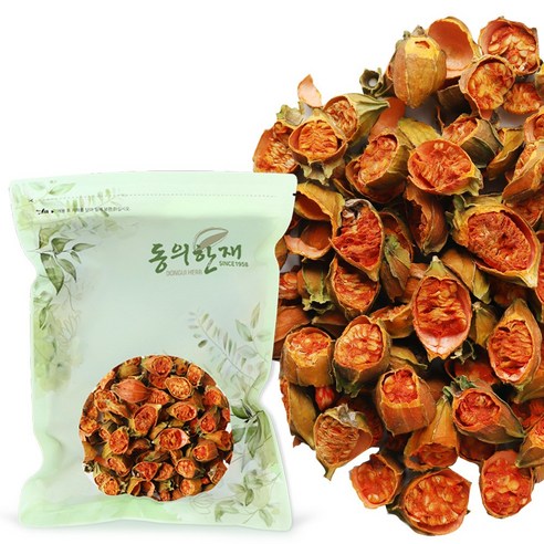 동의한재 중국산 치자 열매