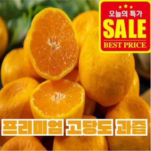[당일선별] 제주 카라향 고당도 프리미엄 감귤