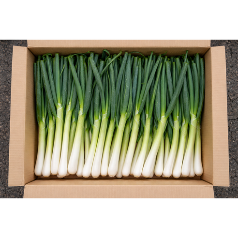 국내산 신선한 손질 대파, 1개, 2kg