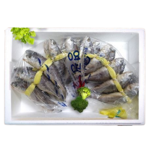 영광 법성포 산지직송 가정용 참조기 굴비 20미, 1개, 영광 굴비  장줄 20미 - 1.7kg