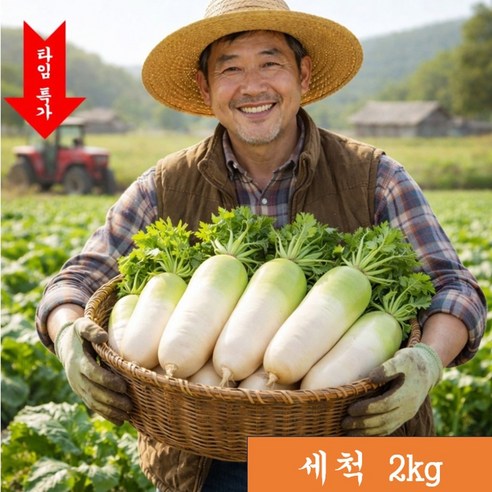 [타임 특가 15%] 산지직송 정품 제주산 세척 월동무, 1박스, 2kg 제주 세척 월동무