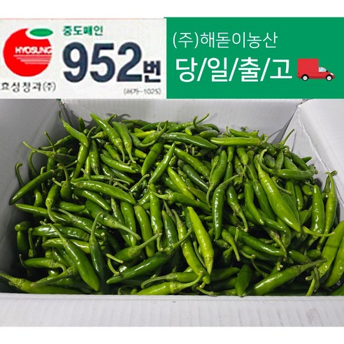 해돋이농산 국내산 청양고추 매운고추 못난이고추 1kg 2kg 3kg 5kg 10kg내외(상세페이지참조)