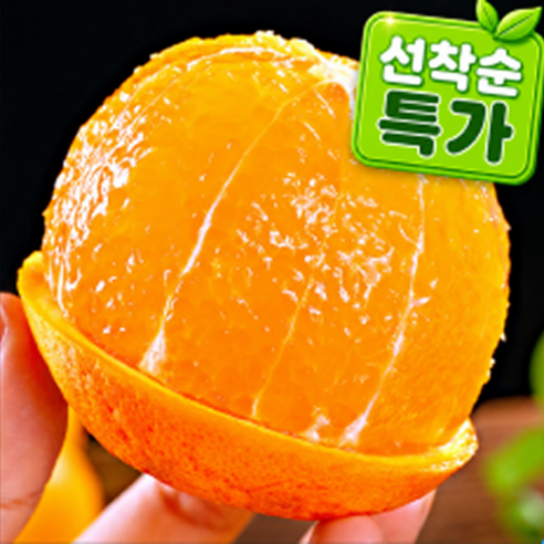 [작년판매1위]30년제주명가직송 꿀당도선별 과즙만발 귀빈전용 한라봉