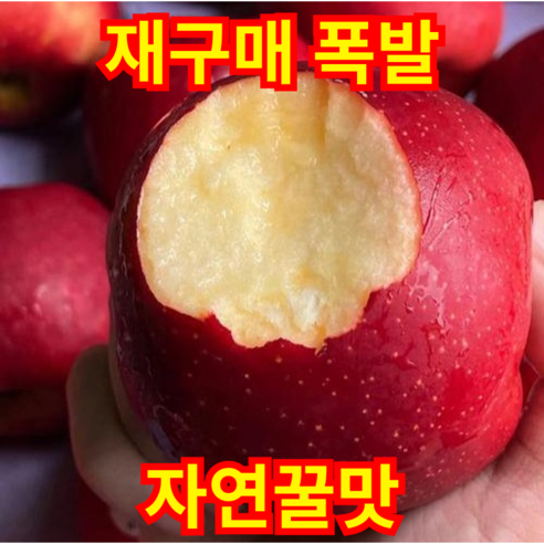 [5월특가]재구매폭발 자연꿀맛 아삭식감 신선농부 못난이사과, 1박스, 3kg