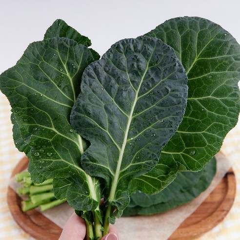 당일수확 신선한 쌈채소 케일 2kg, 1박스, 2kg