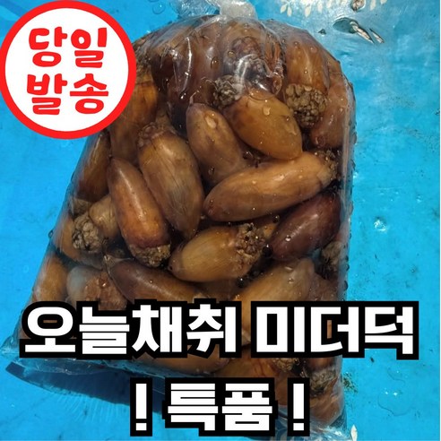 [하루30박스] 국산 생물 미더덕 미더덕회 A+급