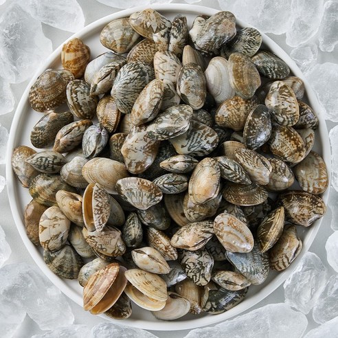 [산지직송] 전남 나로도 자연산 바지락 500g/1kg