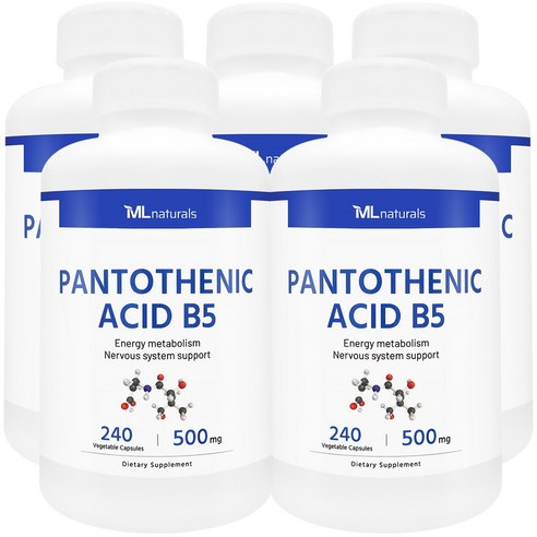 [미국번개배송] 신제품 착한명품 마이라이프 내추럴스 판토텐산 B5 500mg, 5개, 240정
