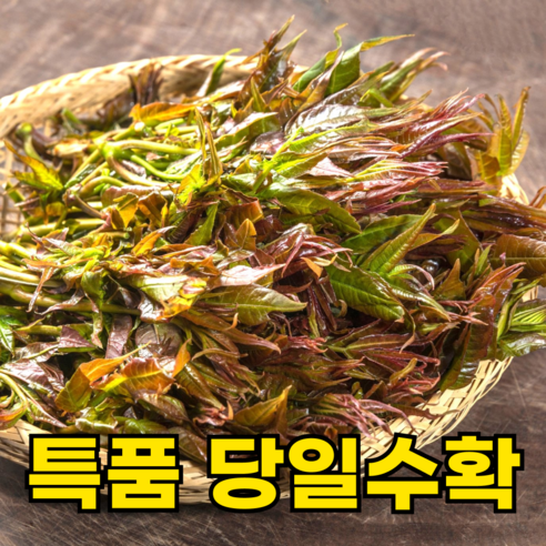 [100%자연재배] 국산 가죽나물 가죽순 참죽나물