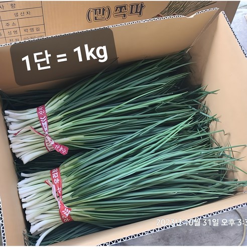 깐쪽파(생산자 오전 수확 오후 배송, 경매x)