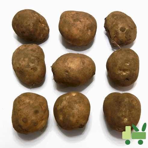 사라상회 감자 20Kg (중)