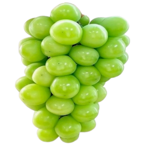 ( 당도 선별 ) 경북 김천 프리미엄 고당도 선물용 특품 샤인머스켓, 1개, 2kg ( 3 - 4수 )