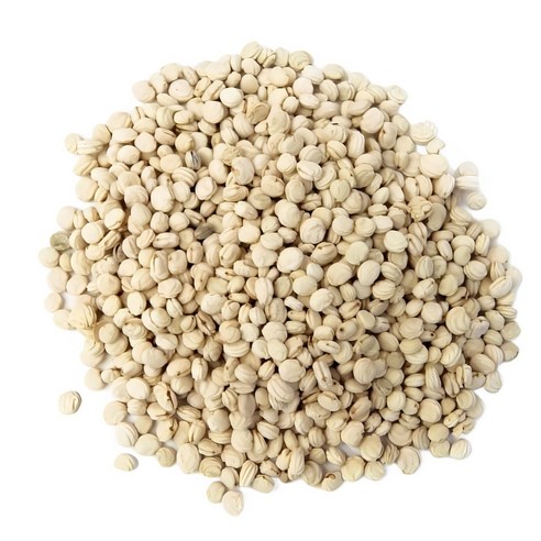 청명약초 청명약초 인삼씨(인삼씨앗)(진생베리)(100g)-국내산, 100g, 1개