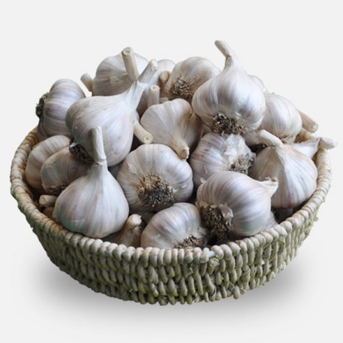 25년 의성 마늘 육쪽 햇마늘 국산 통마늘 한지형, 1개, 중품 4kg 약120-150개